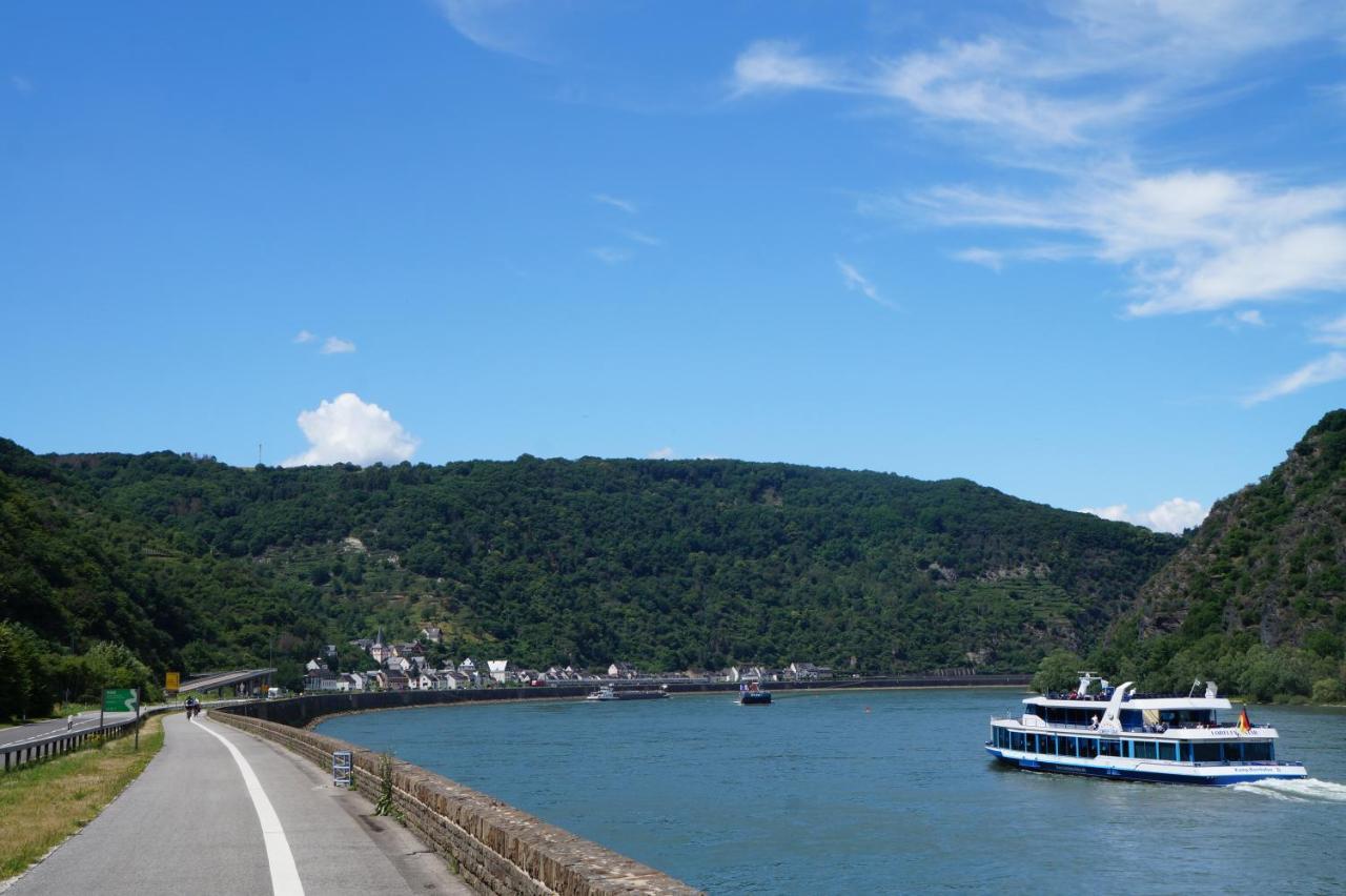 4-Sterne Ferienwohnung Carbach -Perfekt Fuer Radfahrer- Boppard Exterior photo